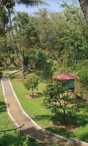 Hanya Satu Villa Sejuk Kebun Durian Cijeruk,Bogor