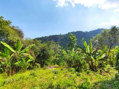 Jual Tanah Cocok Untuk Villa Di Kerandangan Lombok Barat
