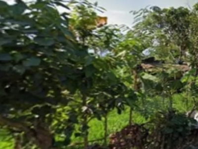 Jual Tanah Di Pinggir Jalan Raya H. Naim Jempong Lombok