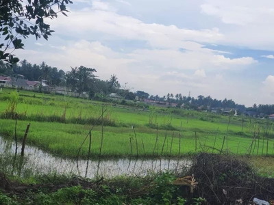Jual Tanah Kapling Dekat Smk 1 Batulayar Lombok Barat