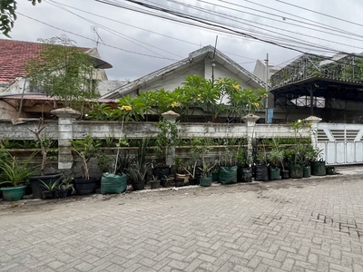 Dijual Rumah Asri Dharmahusada Pusat Kota Surabaya