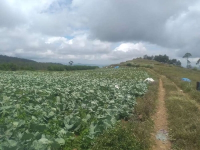 Tanah kebun 7 Hct Lembanna Malino