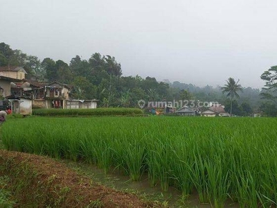 Tanah Sawah di Cigombong Kabupaten Bogor Lokasi Strategis