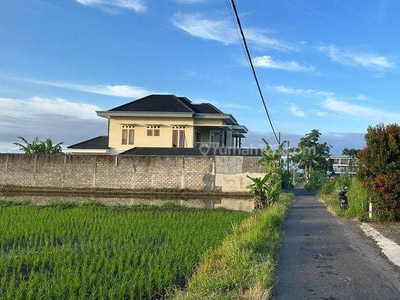 Utara Jl. Damai Jogja, Tanah Dijual Cocok Bangun Homestay