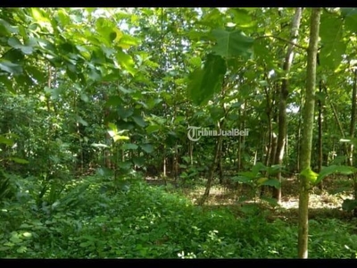 Dijual Tanah Kavling Lingkungan Pedesaan Area Piyungan LT424 - Bantul Yogyakarta