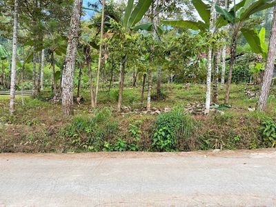 Dijual Tanah Kebun Durian Dekat Pasar Kemuning - Karanganyar