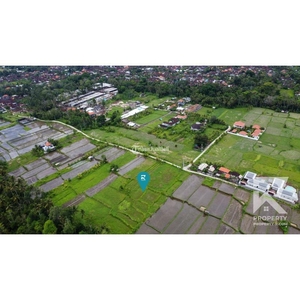 Dijual Tanah Luas 9000 m2 View Sungai Sawah di Pejeng Dekat Ubud - Gianyar