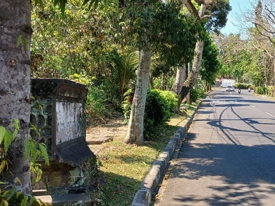 Disewakan Tanah 6570 m2 Lokasi Mudah Dijangkau di Sidan - Gianyar Bali