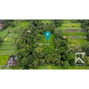 Disewakan Tanah Luas 78 Are View Hamparan Kebun di Pejeng Bali - Gianyar