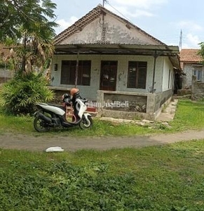 Jual Tanah Bonus Rumah Luas 600 m2 Sederhana Kawasan Triharjo - Sleman Yogyakarta