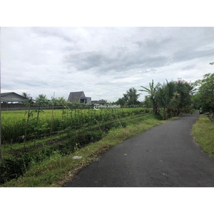 Jual Tanah Luas 600 m2 area Nyambu Kaba-Kaba - Tabanan Bali