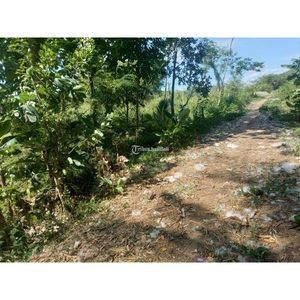 Jual Tanah Sawah Luas 852m2 Lokasi Jalan Godean Km 12 - Sleman Yogyakarta