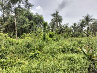 dijual lahan kosong luas 4.000 ha APL Riau