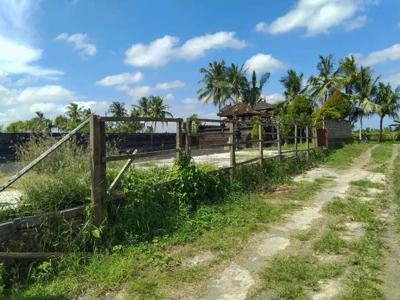 Jual Tanah 10 Are, Lokasi Kaba - Kaba (Tabanan), View Sawah