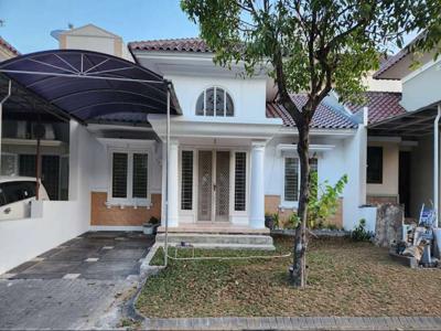 Disewakan Rumah Royal Park Citraland Terawat Siap Huni