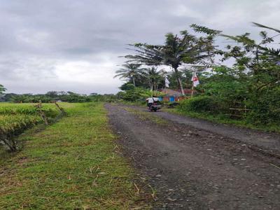 JUAL TANAH KULON PROGO DI SENTOLO VIEW SAWAH