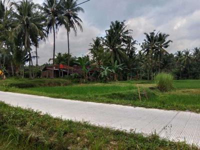 JUAL TANAH KULON PROGO DI SENTOLO VIEW SAWAH