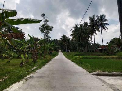 JUAL TANAH KULON PROGO DI SENTOLO VIEW SAWAH