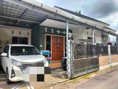 Rumah Jl. Palagan Jogja Dijual Murah, Rumah Siap Huni