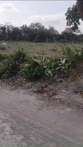 Dijual Lahan Siap bangun,Zona Kuning Luas 5000 m2 di Boyolali