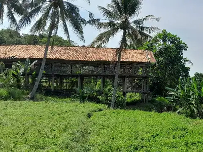 Dijual Tanah Bekas Ternak Ayam