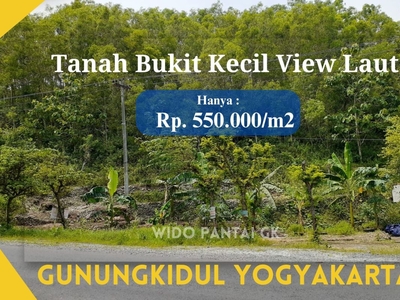 Dijual Tanah Pantai Bukit Pinggir Jalan Raya Gunungkidul Yogyakarta