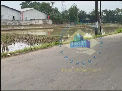 Jual Tanah Di Jl Raya Curug, Rancakebo, Panongan - Tangerang.