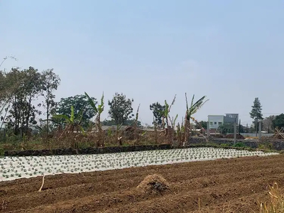 Siap Bangun, Tanah Murah Perum Graha Dewata Malang Layak untuk Hunian