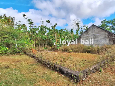 Tanah 300m2 Dijual gratis rumah kawasan Bukit Ungasan, Bali