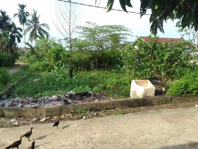 Tanah di Sekojo ujung srimulya