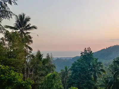 tanah kebun full view ocean harga termurah di tabanan bali.