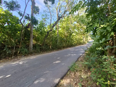 Tanah Murah Kutuh Pandawa Jimbaran Bali