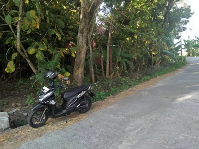 TANAH PEKARANGAN LUAS VIEW SAWAH DEKAT PADMA RESIDENCE JK12139