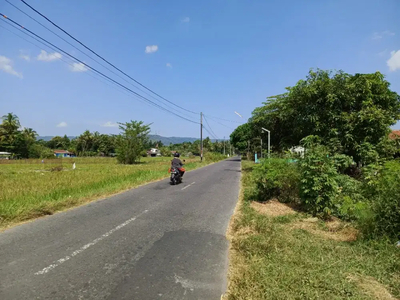 Tanah sawah buat usaha