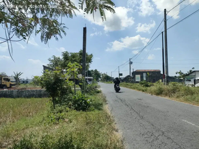 Tanah sawah di canden Bantul jln Aspal