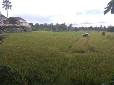 Tanah 1,38 hektar di jln Raya Sempidi Badung Bali