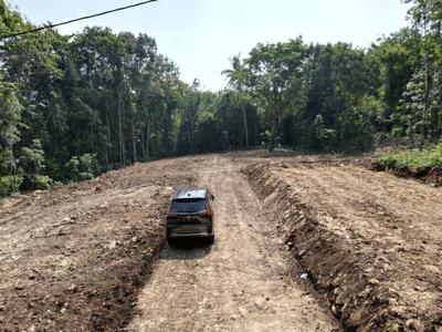 BELI SEKARANG UNTUNG KEMUDIAN; Tanah Di Sedayu