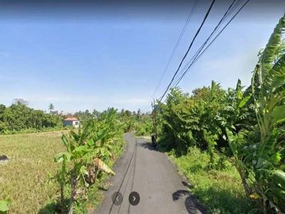 Dijual Tanah View Sawah yang Berlokasi Tumbak Bayuh , Badung Bali