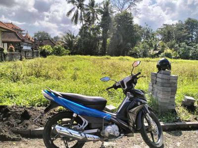 disewakan tanah 24 are, lokasi nyambu.