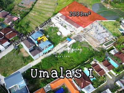 For Sale Tanah 20.33 are View Sawah di Umalas, Badung, Bali