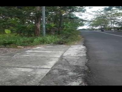 JUAL TANAH KULON PROGO DI JALAN UTAMA SENTOLO