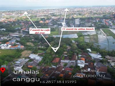 JUAL TANAH MURAH UMALAS CANGGU SANGAT COCOK DI KAVLING