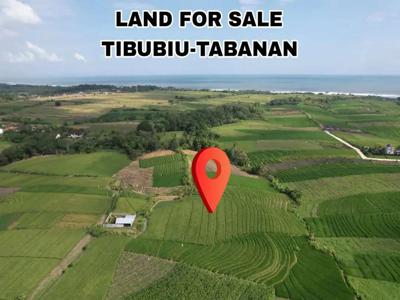 Tanah Investasi 45Are dkt ke Pantai di Tibubiyu