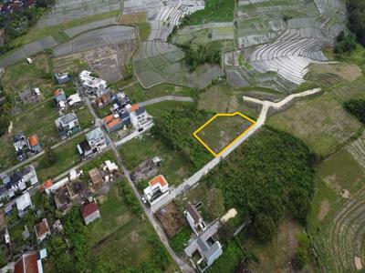 Tanah Munggu Canggu Pemandangan Sawah Lingkungan Villa