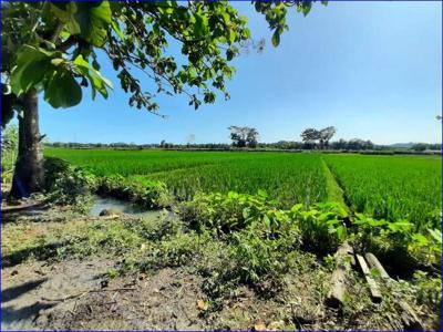 Tanah Murah Luas 600m, Dekat Bandara YIA Cocok Resto