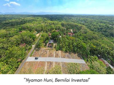 Tanah Murah Siap Bangun Dekat Kampus Atma Jaya, SHM P