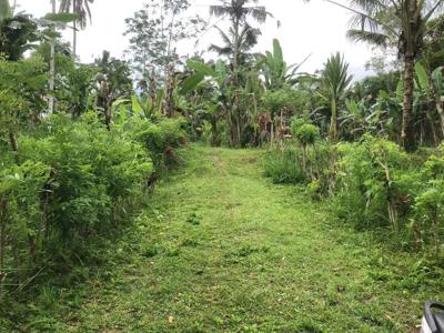 Tanah murah Tegalalang Ubud Gianyar cocok untuk villa
