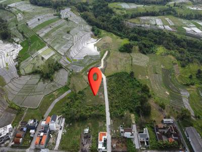 Tanah Pemandangan Sawah Lingkungan Villa di Munggu Badung Bali