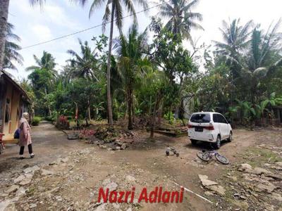 Tanah SHM Murah Dijual di Temon, Kulonprogo Area Bandara YIA