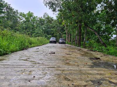 Tanah Murah Jogja, Dekat Exit Tol Jogja - Cilacap